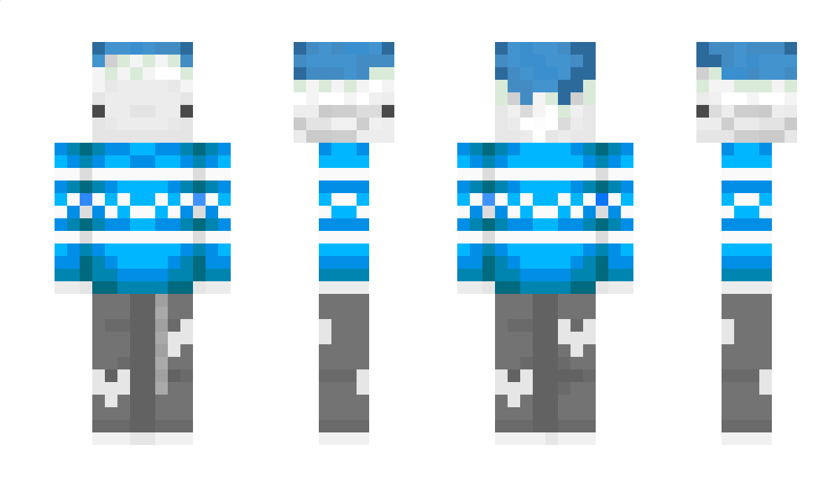 NimmelHannes Minecraft Skin