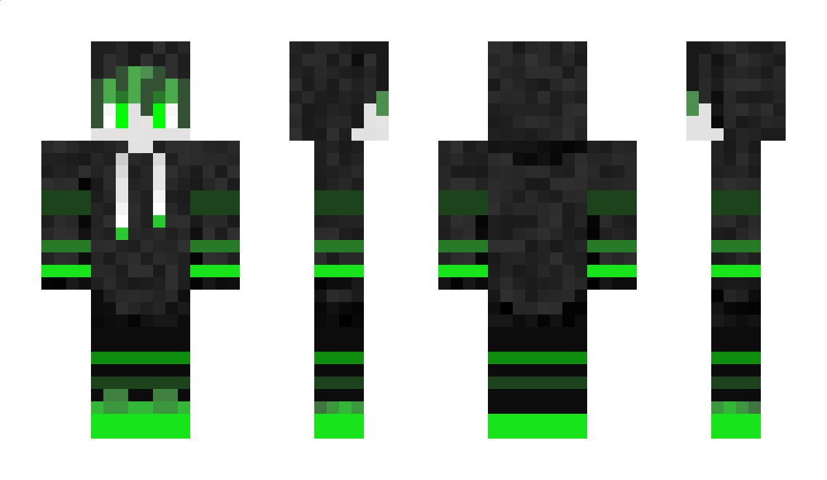 AlpinGekko Minecraft Skin