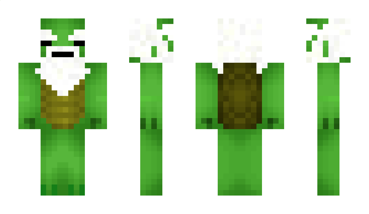 gopgop Minecraft Skin