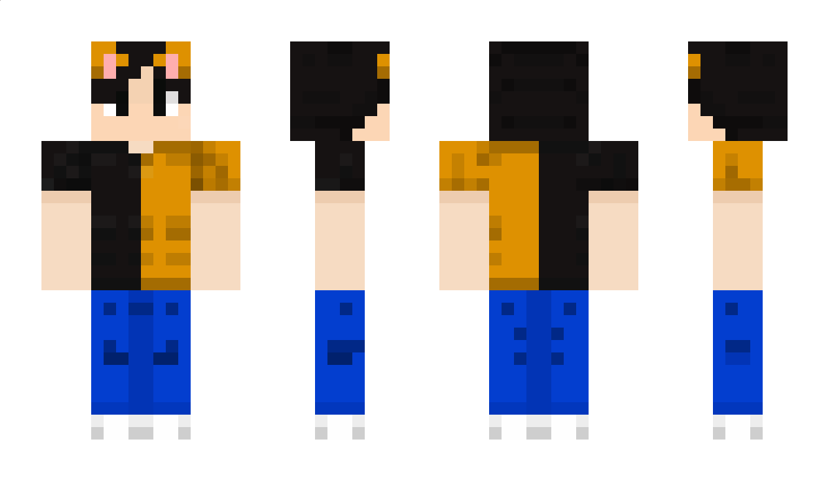 PWL11YT Minecraft Skin