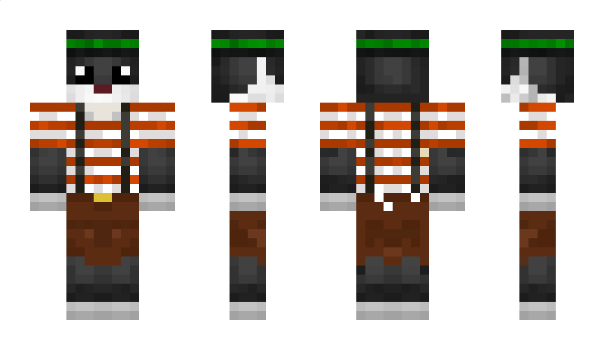 sk8ingDuck Minecraft Skin