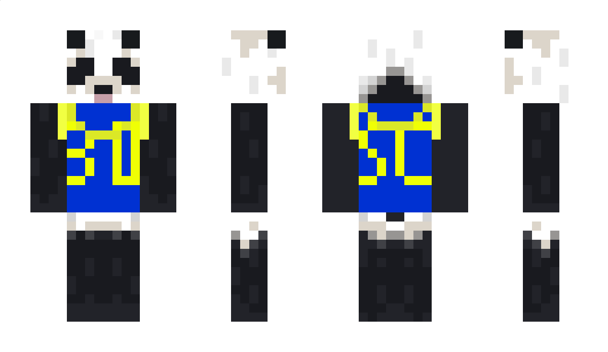 pandabro71 Minecraft Skin