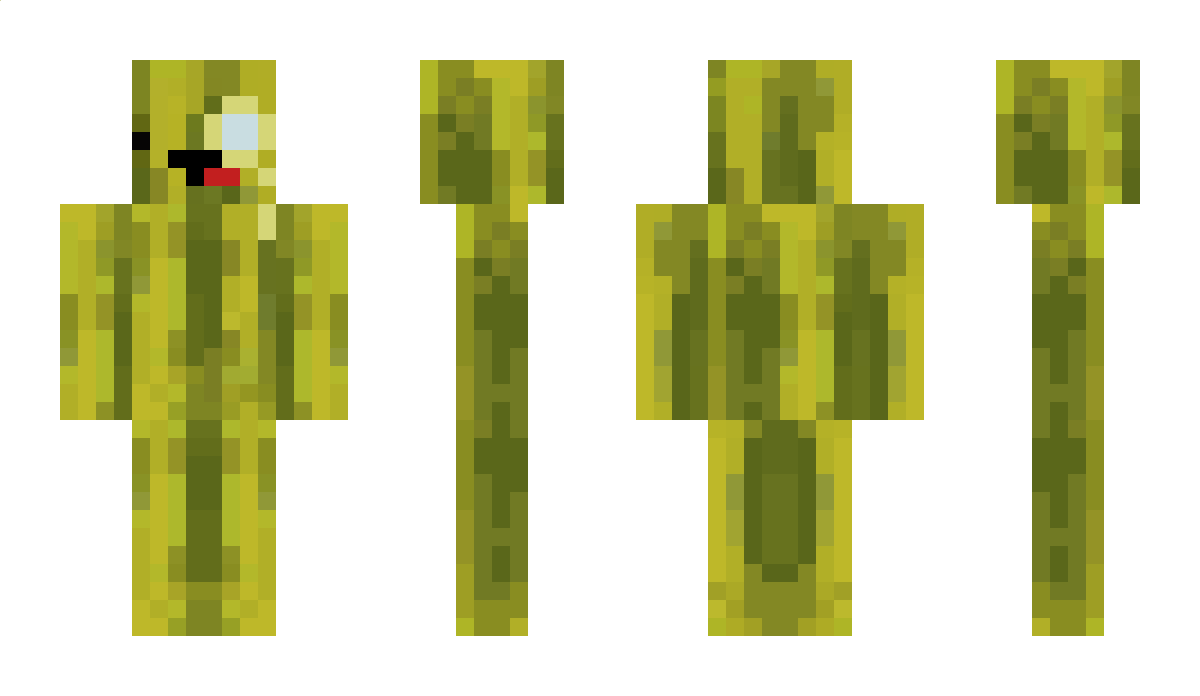 FancyMelon Minecraft Skin