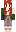 Dessamore Minecraft Skin