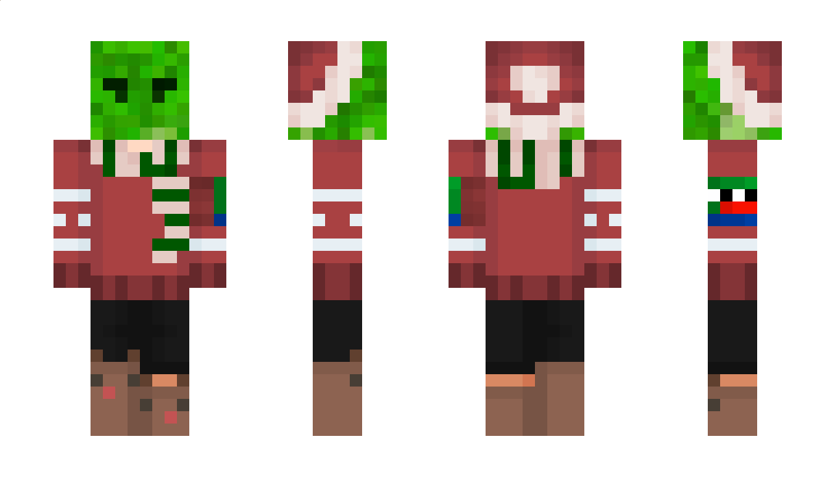 SaladGamer Minecraft Skin