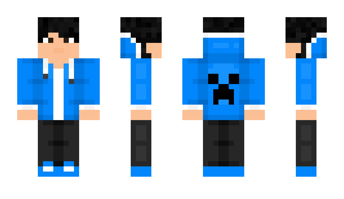 PSE916 Minecraft Skin