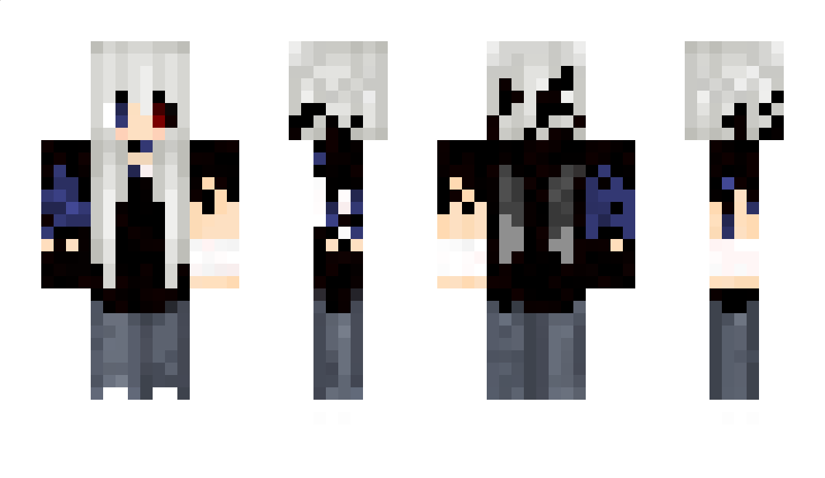 Sectup Minecraft Skin