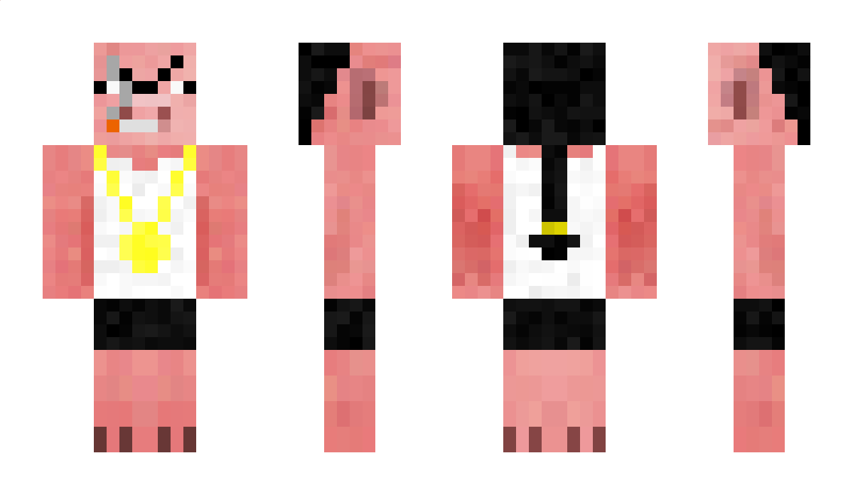 MaxlAbi Minecraft Skin