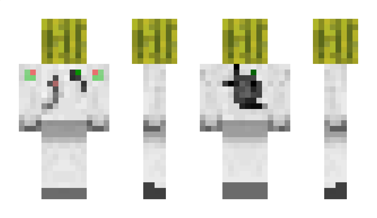 MHF_Melon Minecraft Skin