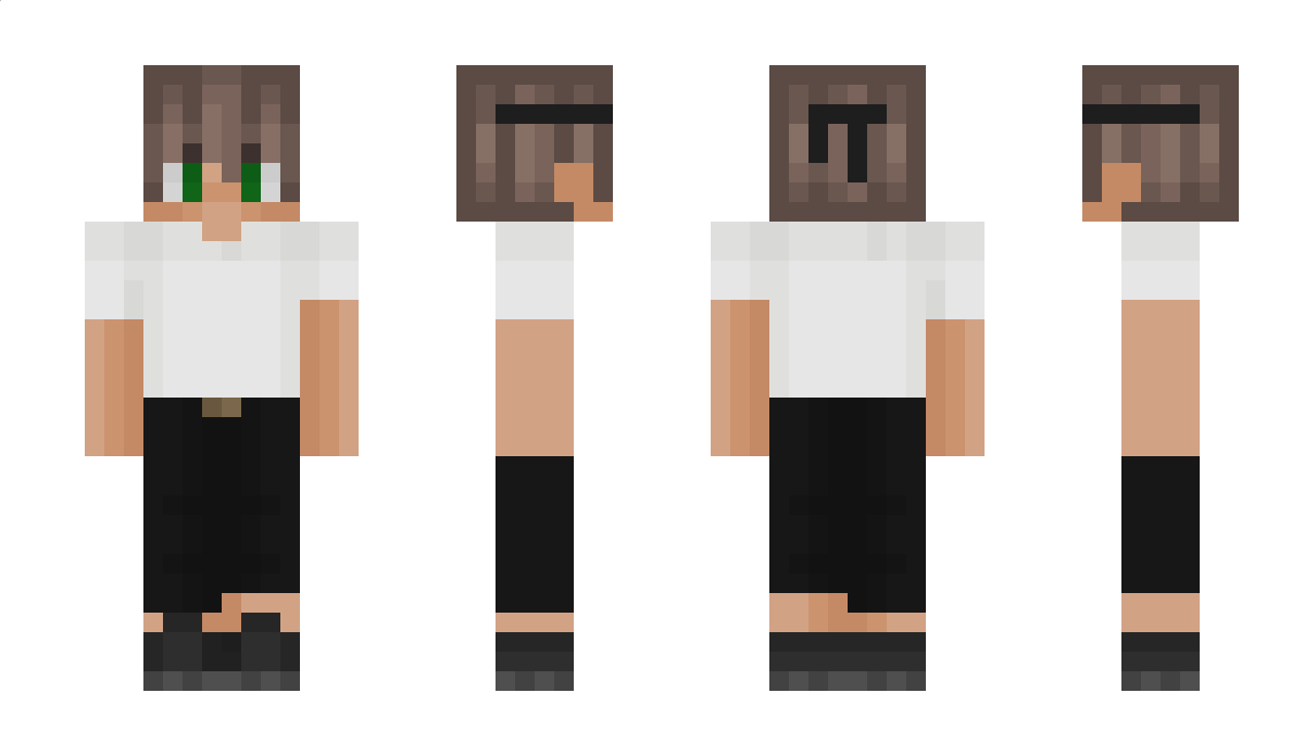 Herzinsuffizienz Minecraft Skin