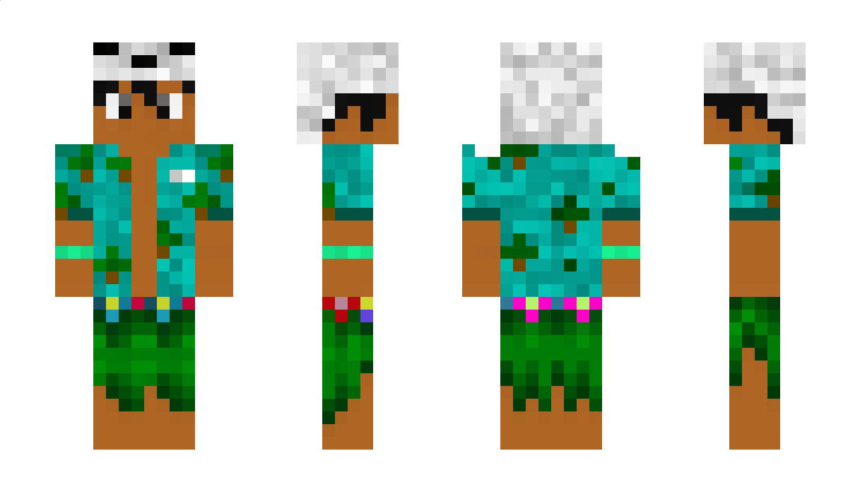 Zoin Minecraft Skin