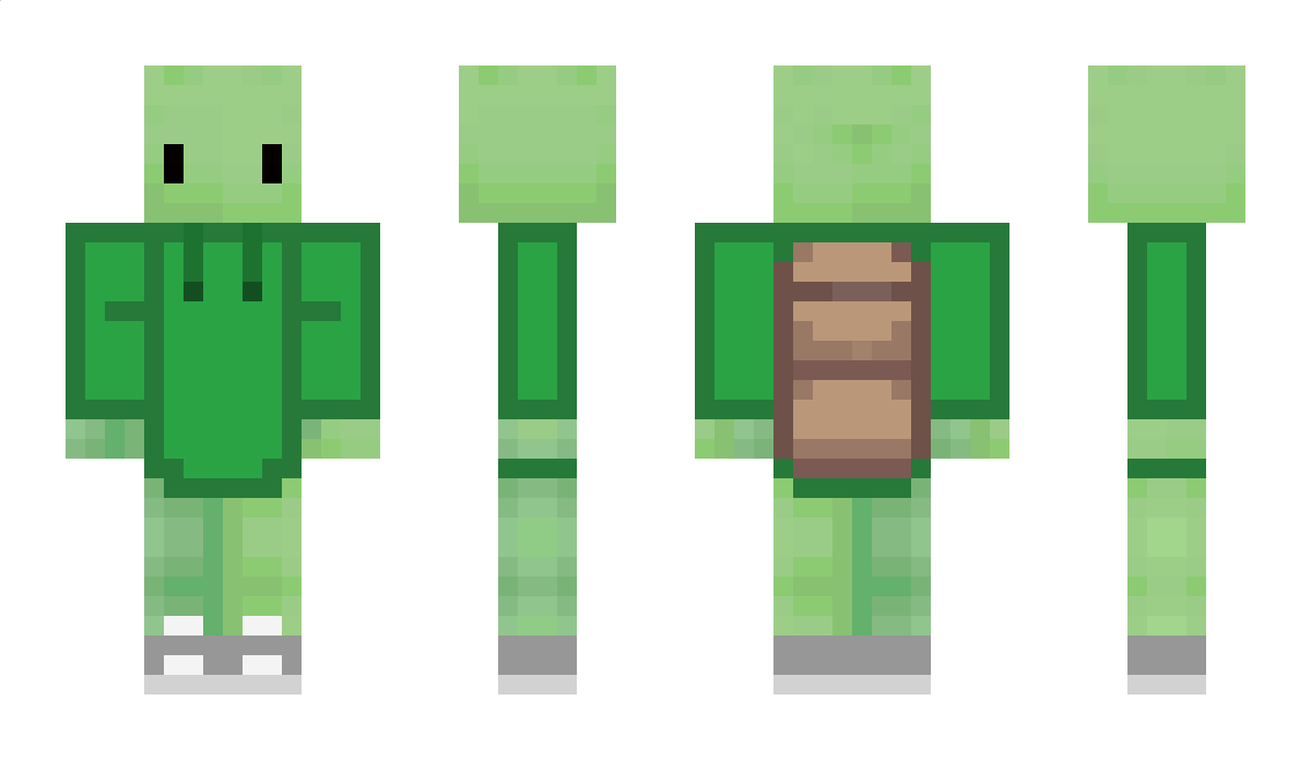 TheRandomTurtl3 Minecraft Skin