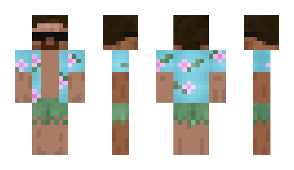 DENIE5 Minecraft Skin