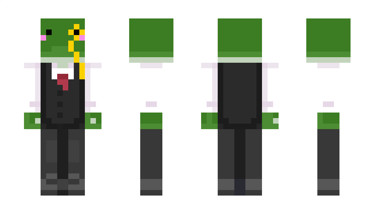 Segsyno1 Minecraft Skin