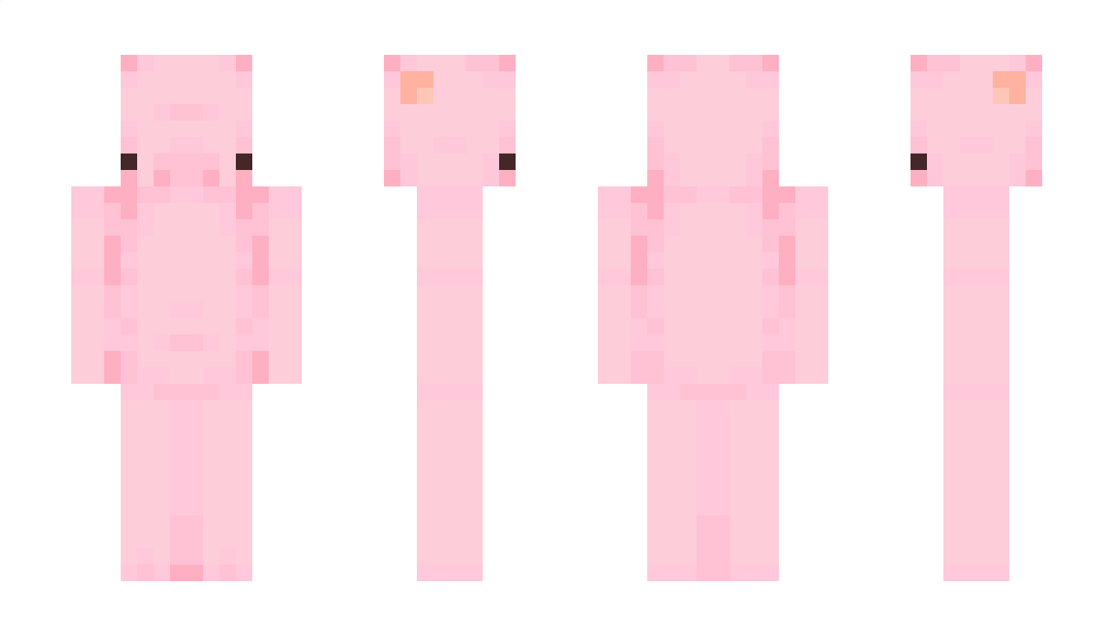 LeLocator Minecraft Skin