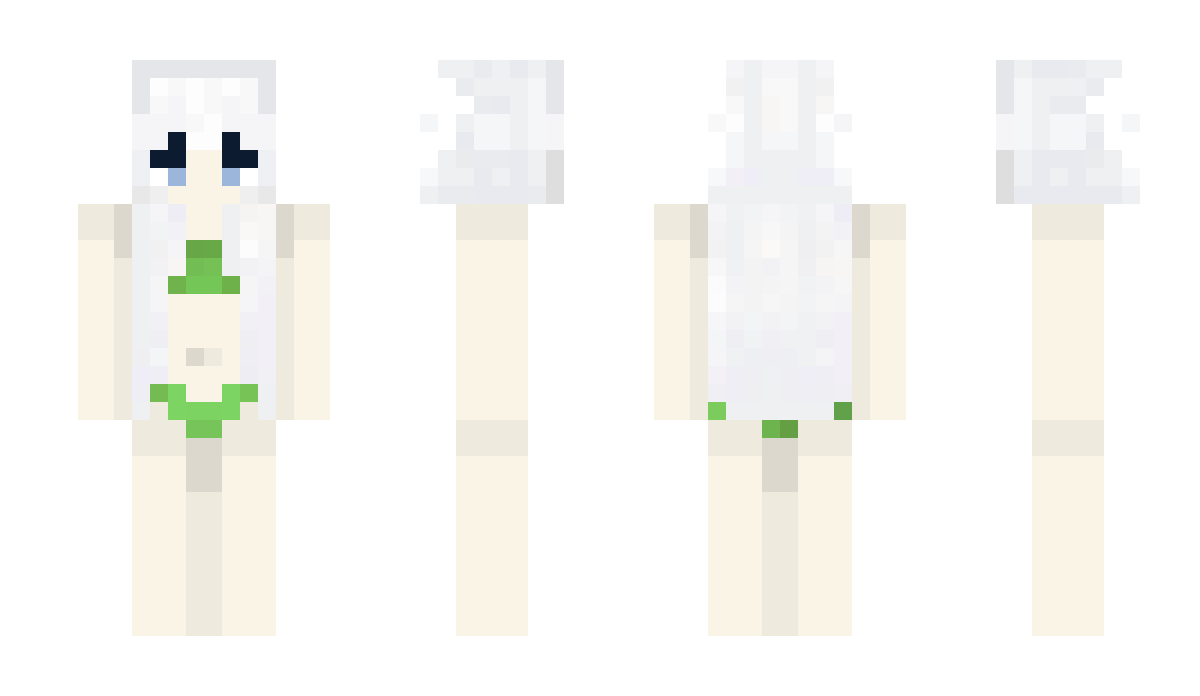 sltr Minecraft Skin