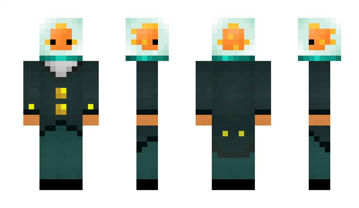 GoldfishBottle Minecraft Skin