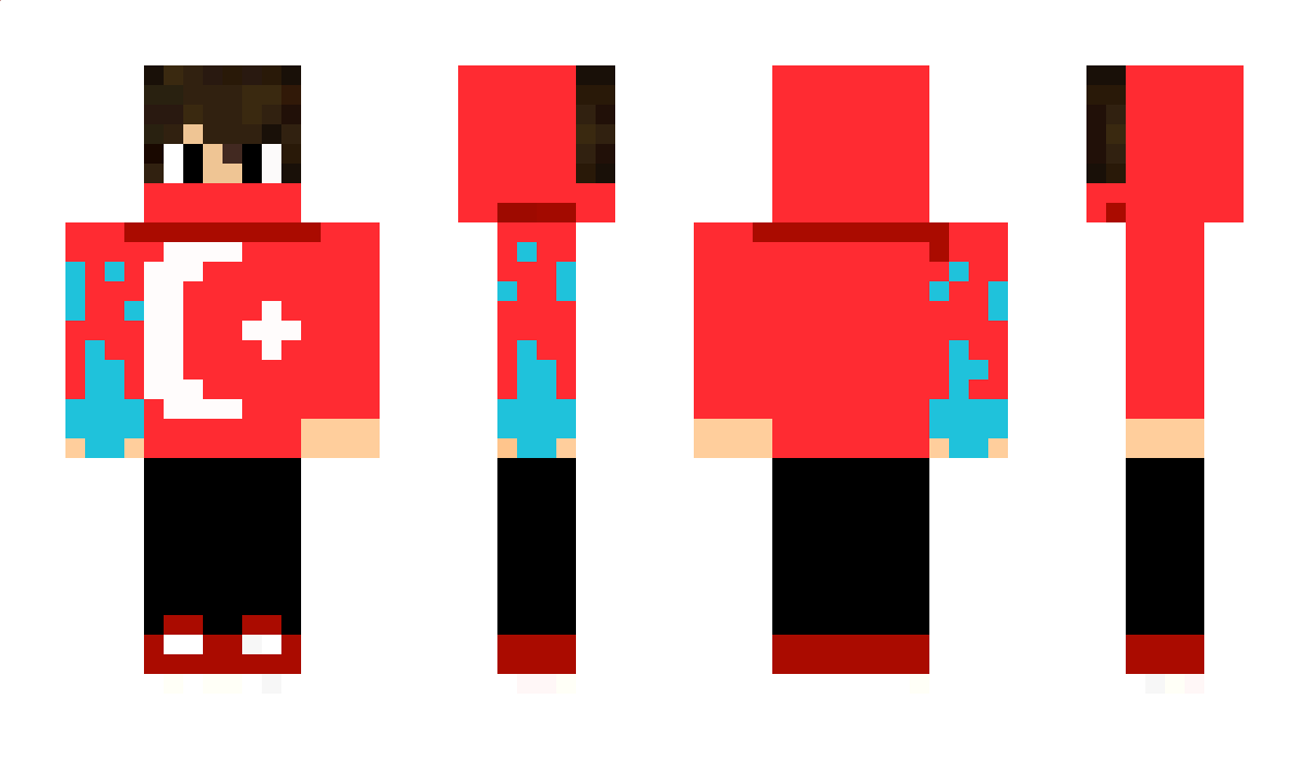 Bozkurt Minecraft Skin