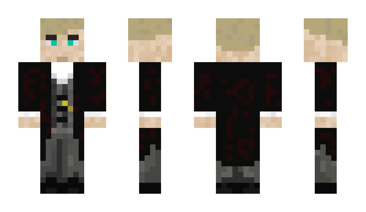 strny01 Minecraft Skin