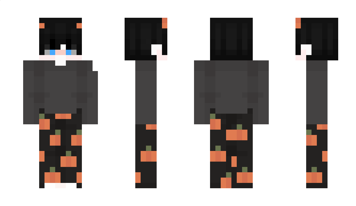 Kavasaki Minecraft Skin