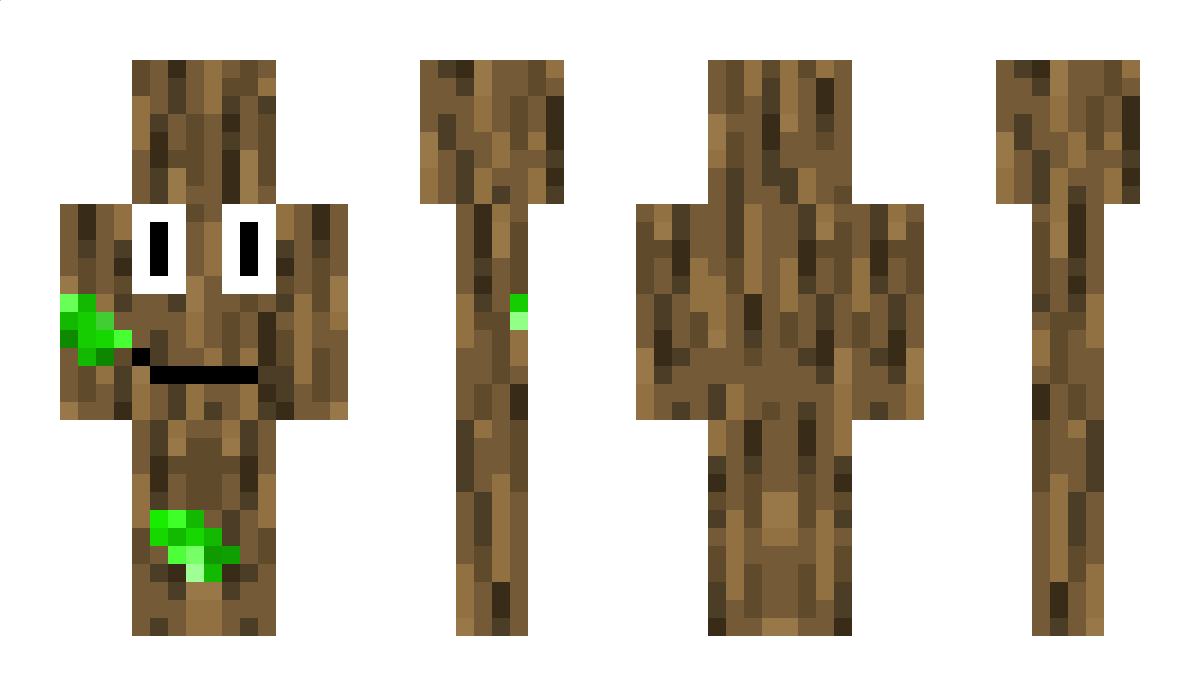 Firway19 Minecraft Skin