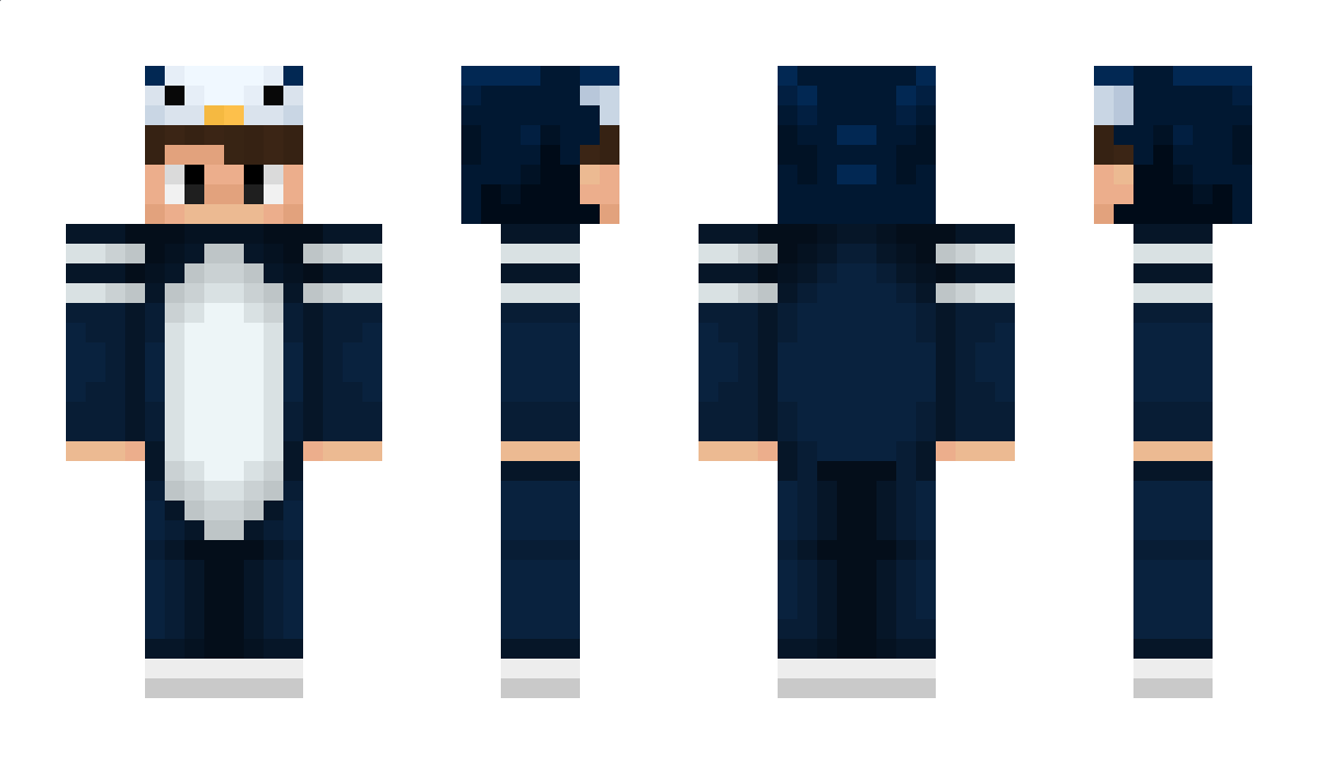 PenguinSafe Minecraft Skin