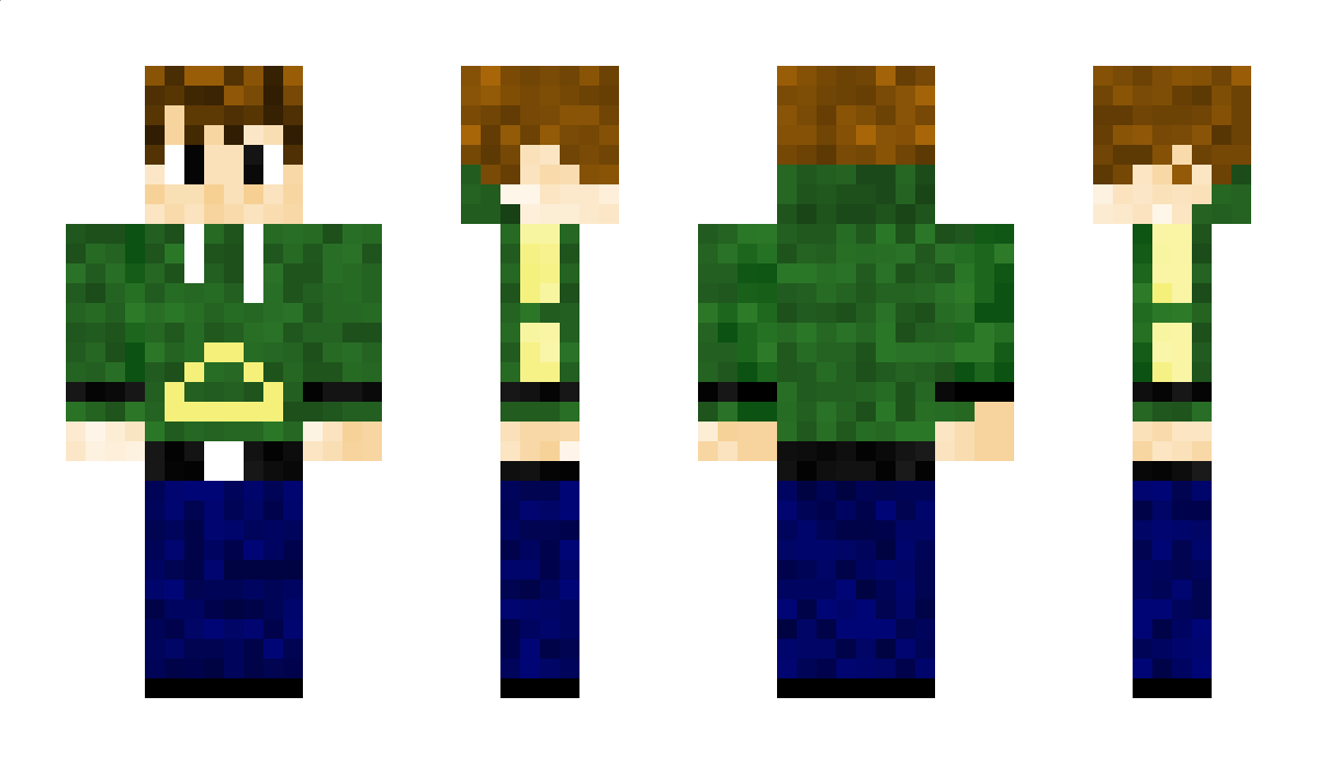 erfan1mj Minecraft Skin