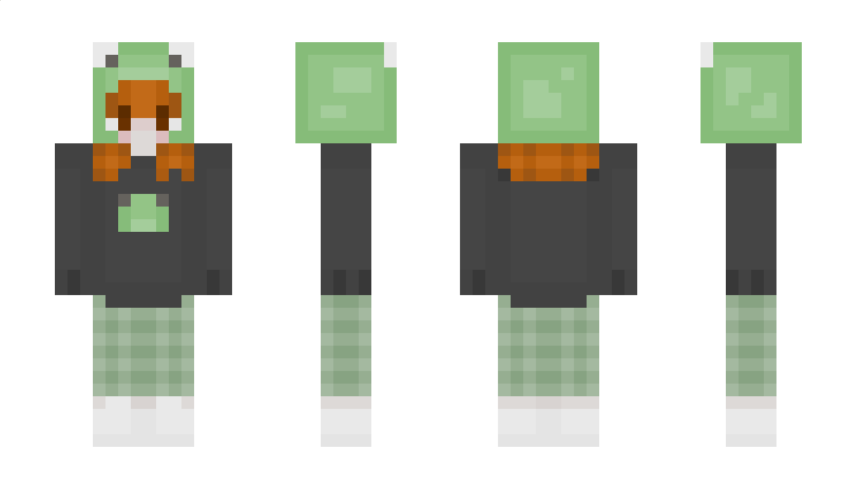 trans_flag Minecraft Skin