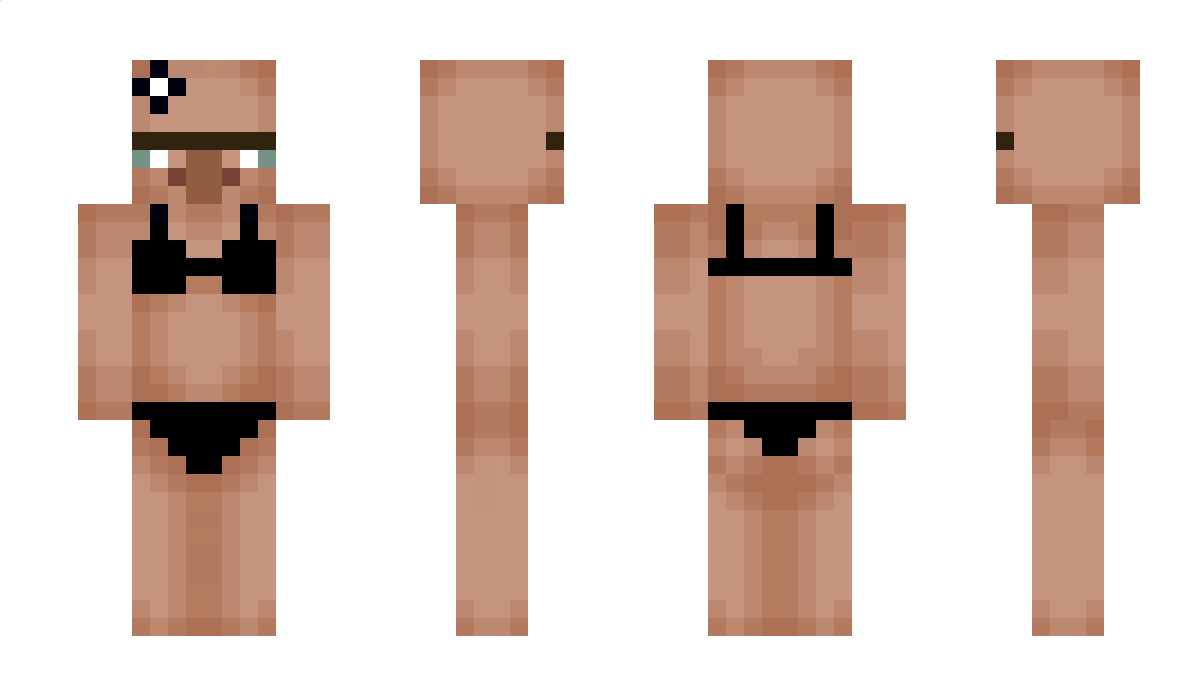 2large Minecraft Skin