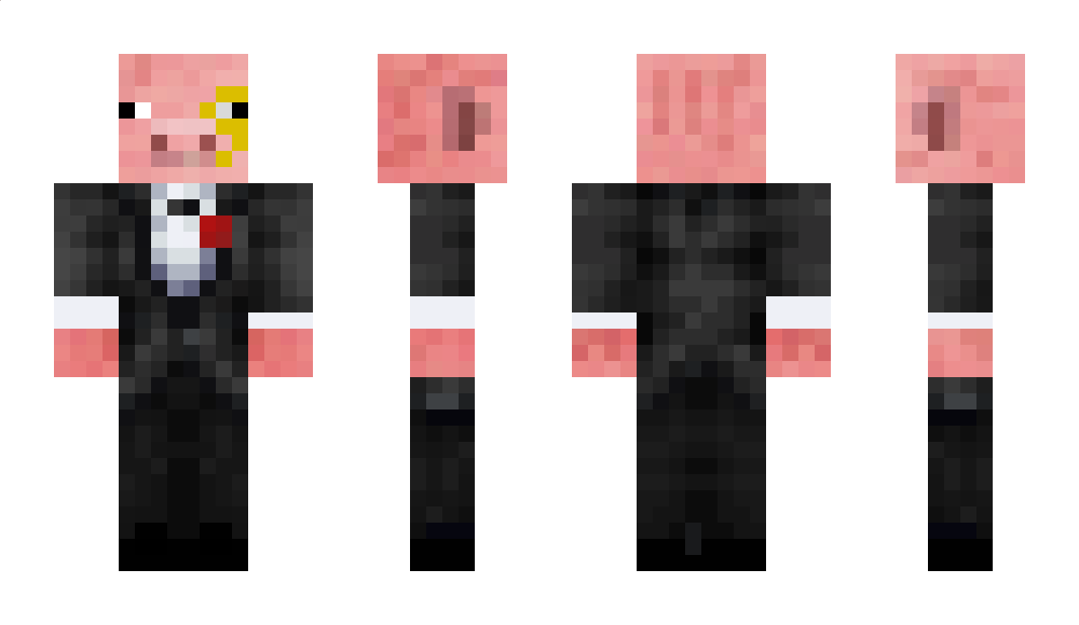 slimepig56 Minecraft Skin