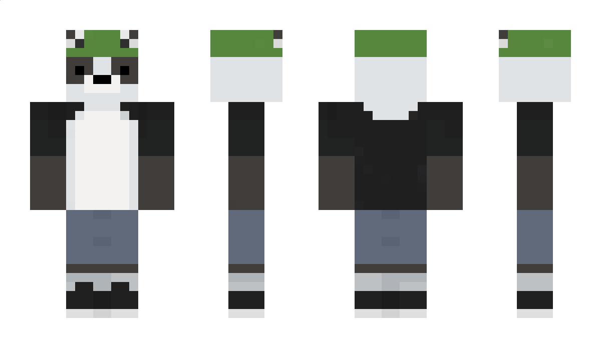 ripples1253 Minecraft Skin