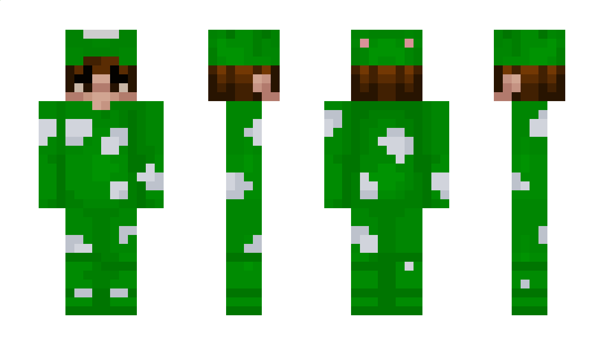 tailsboy Minecraft Skin