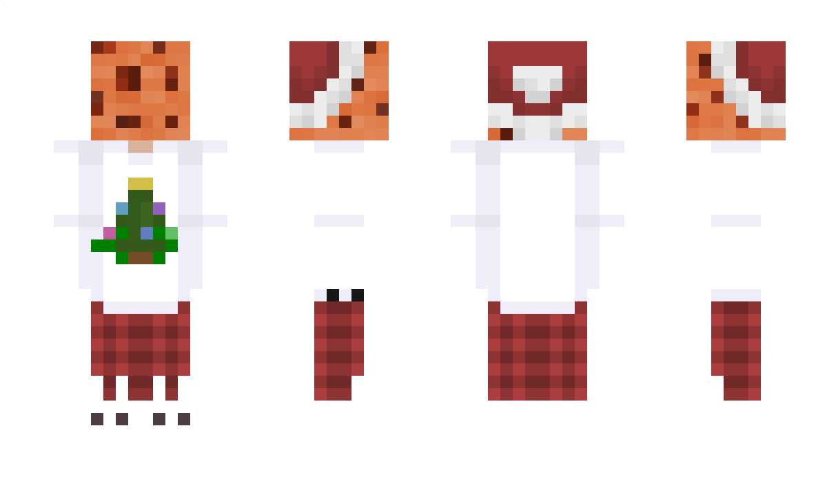 paytonll Minecraft Skin