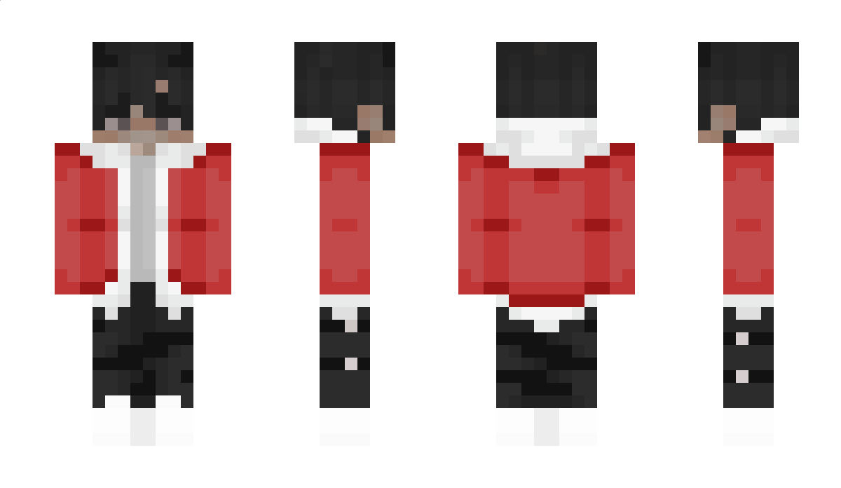 TeamPolska Minecraft Skin