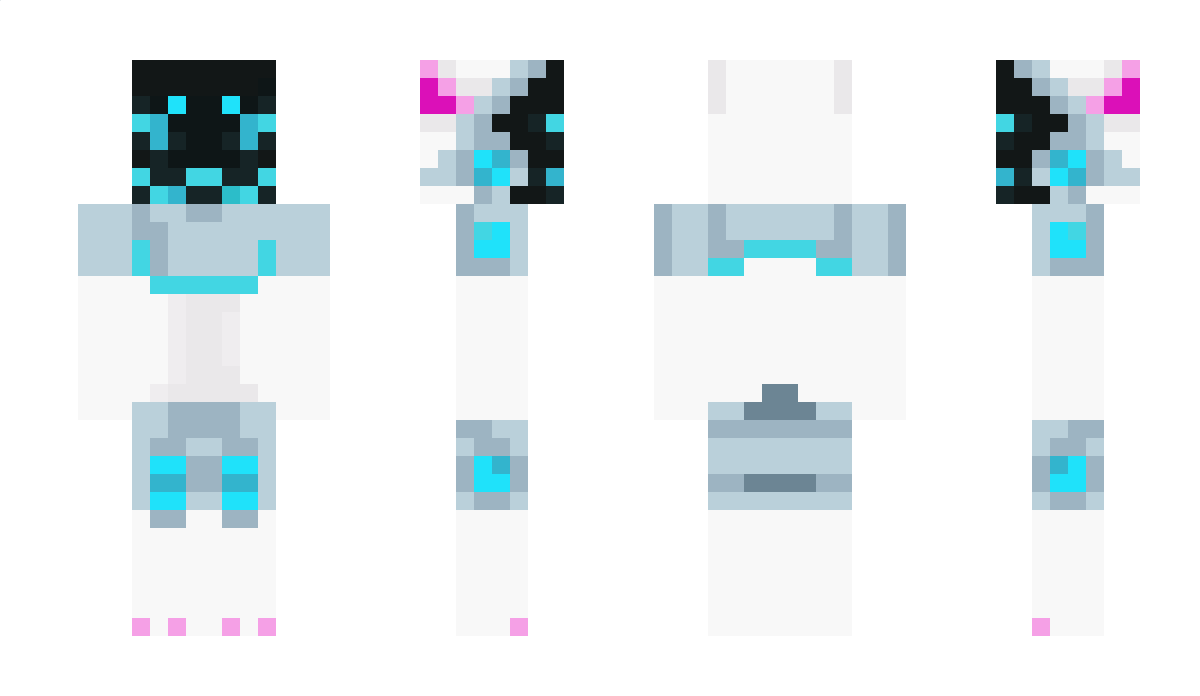 N_223 Minecraft Skin