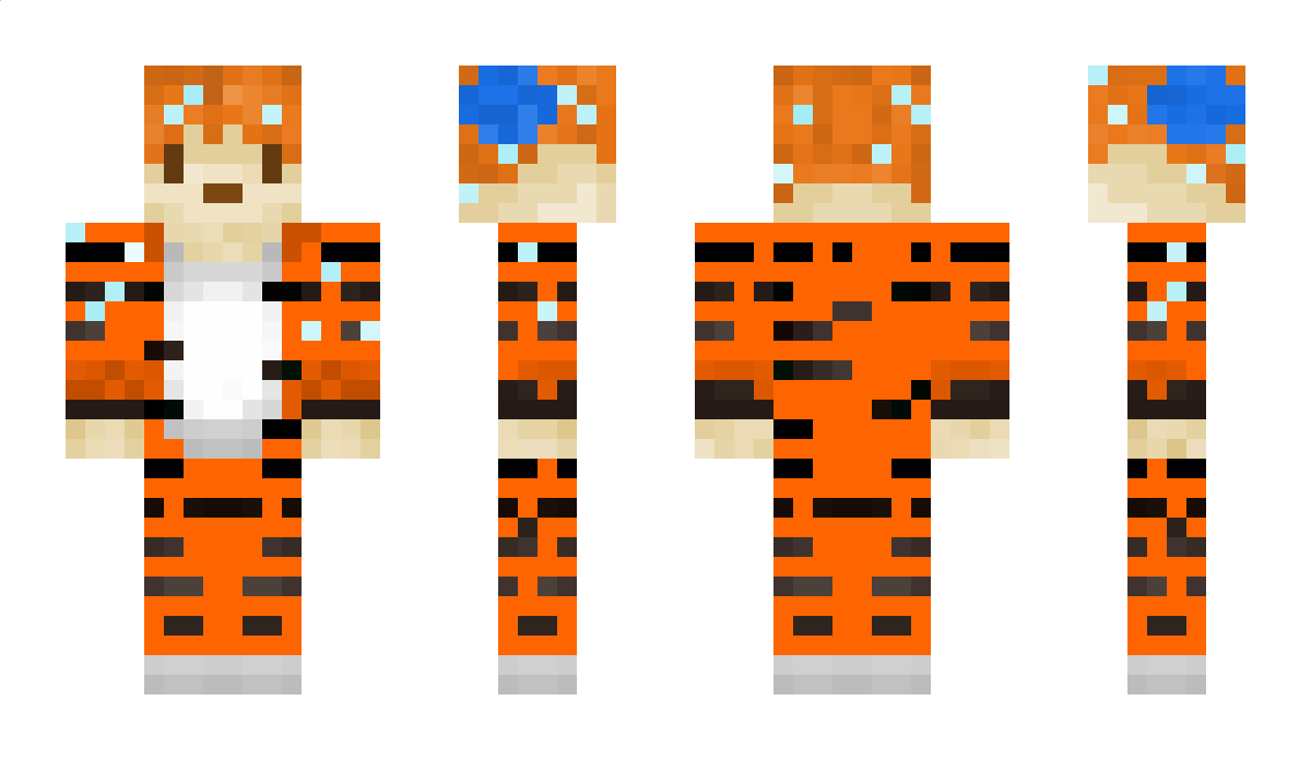 tiggy10tigs Minecraft Skin