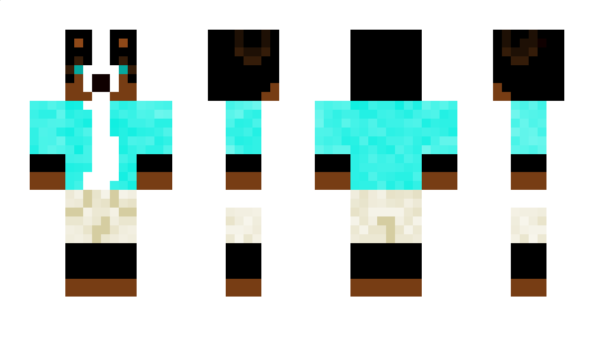 Doggn Minecraft Skin