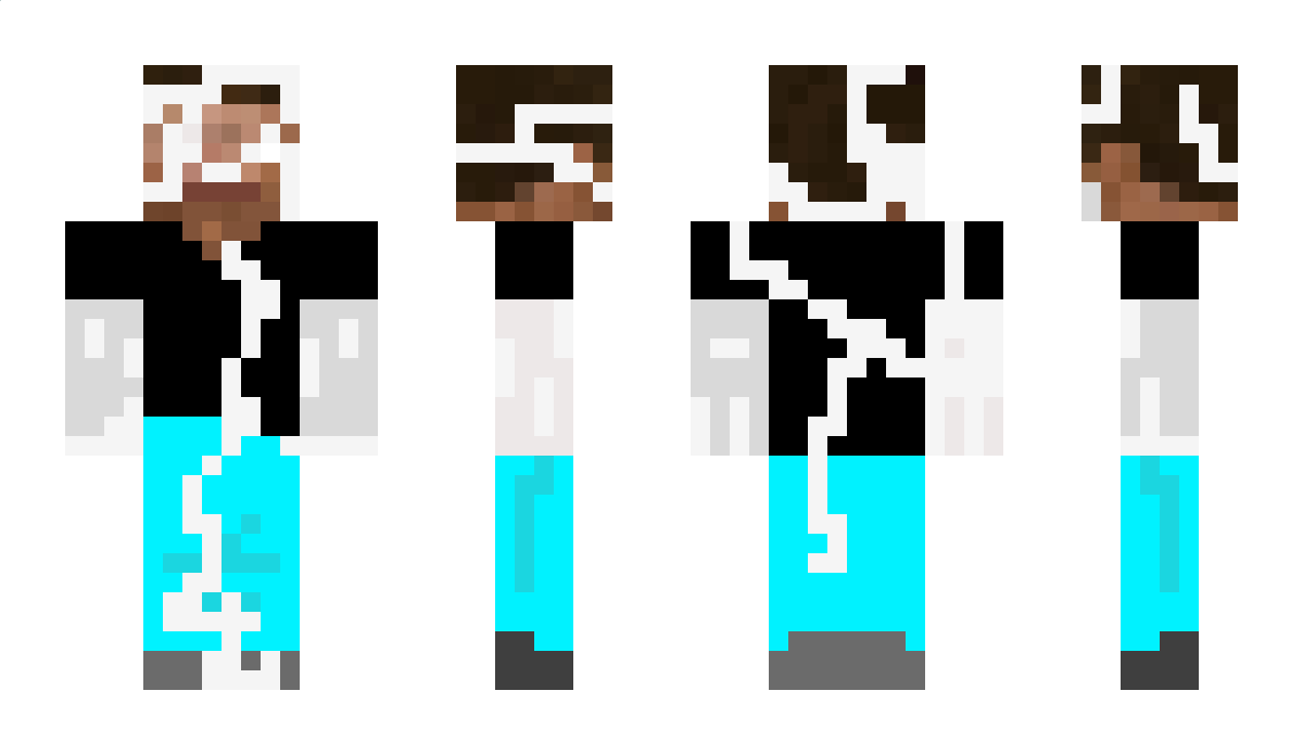 Paletoete1 Minecraft Skin