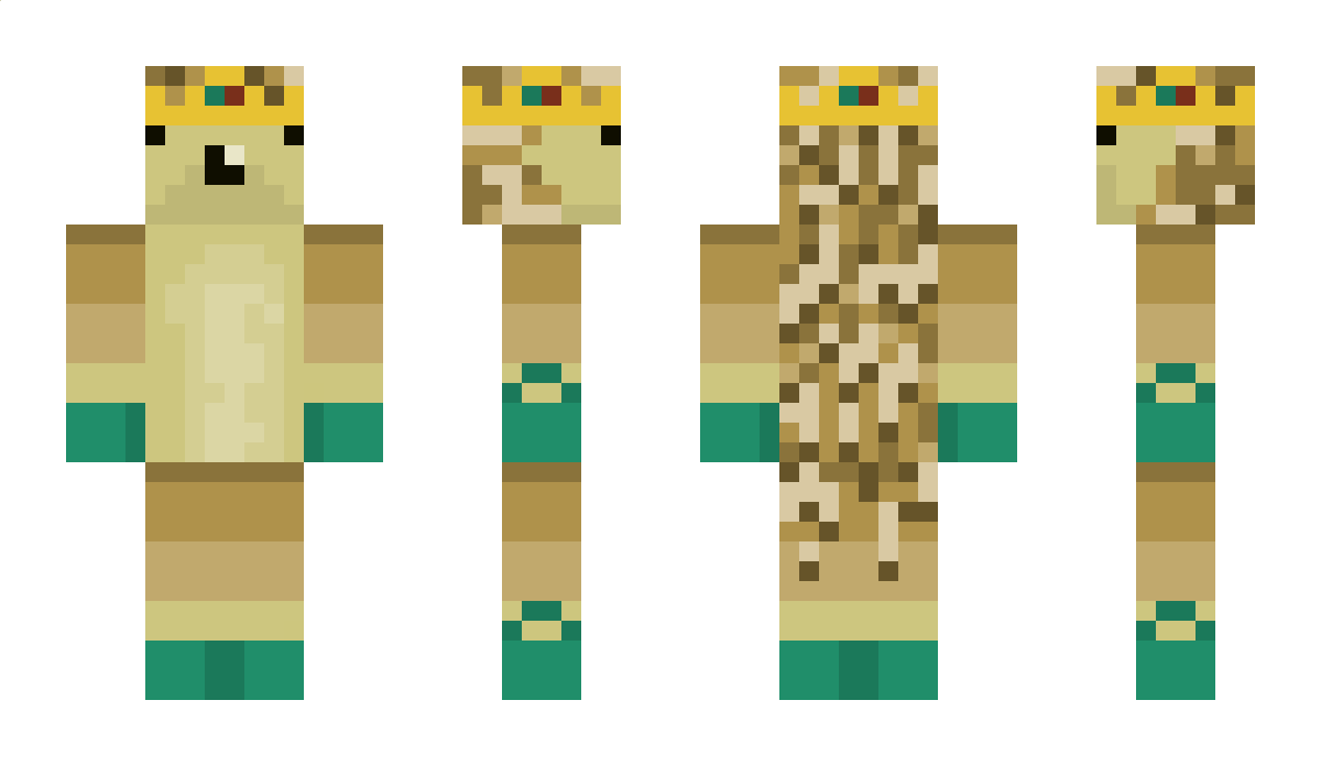 HedgehogKing202 Minecraft Skin