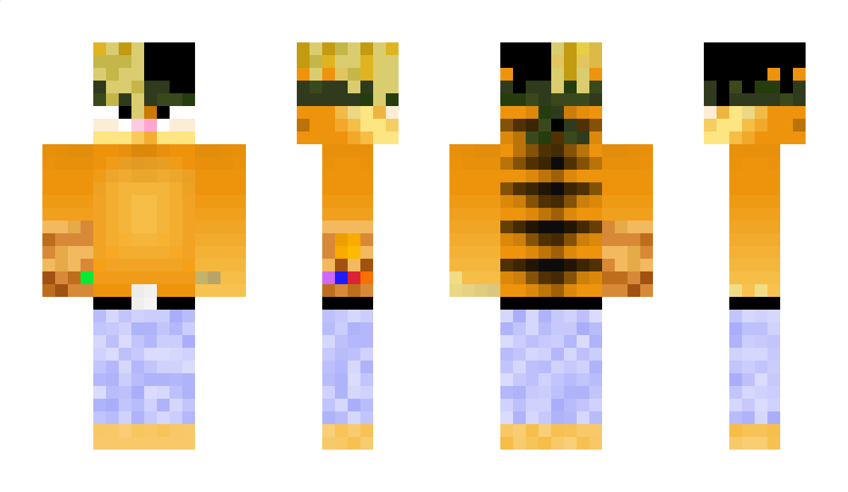 Queston Minecraft Skin