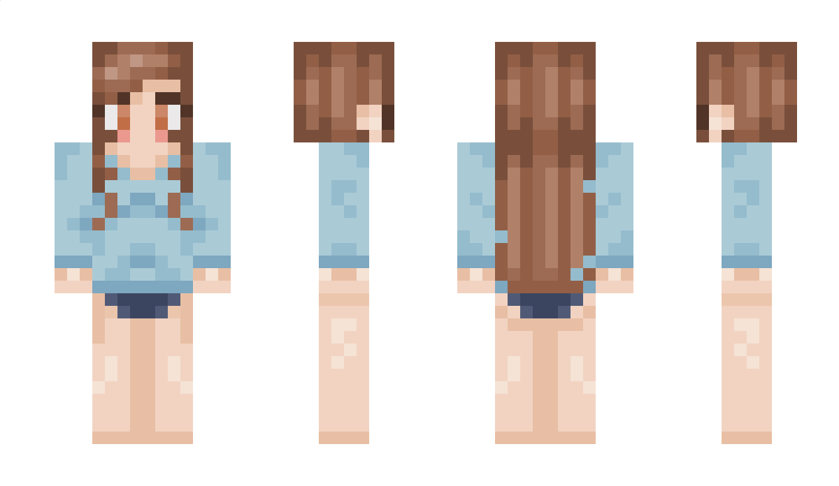 MonnaieTours3613 Minecraft Skin