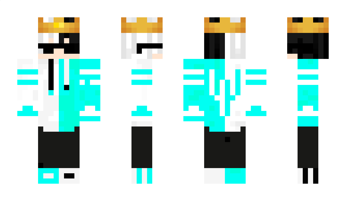 Aquax__ Minecraft Skin