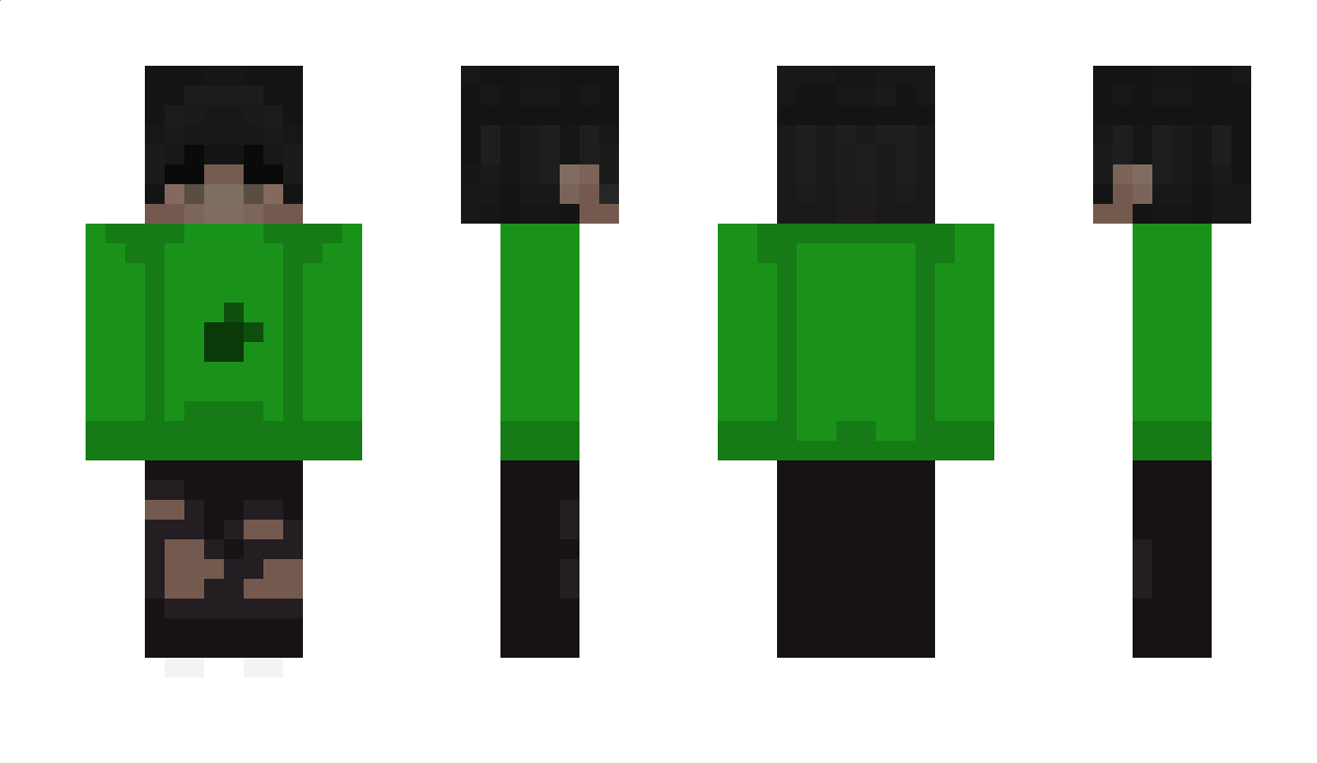 Turle Minecraft Skin