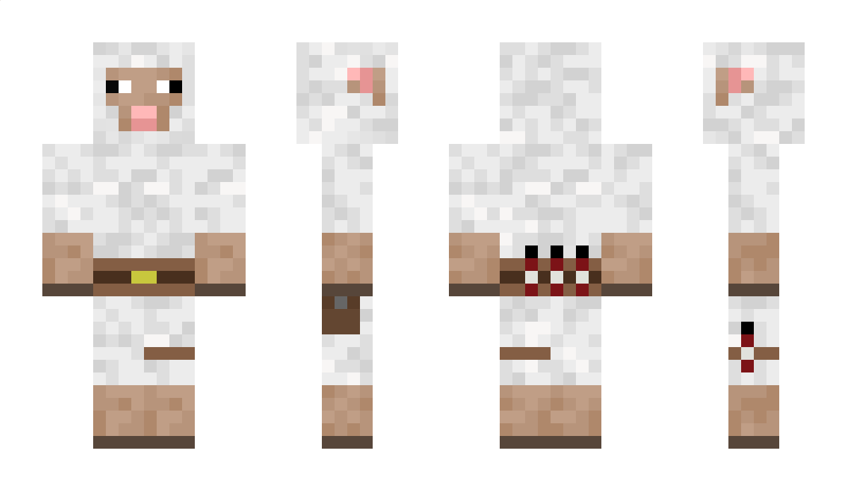 domrein Minecraft Skin