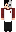 b1urrd Minecraft Skin