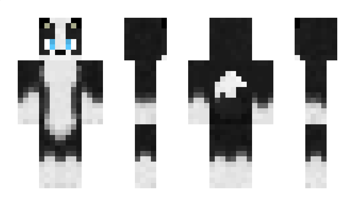 canadixn Minecraft Skin