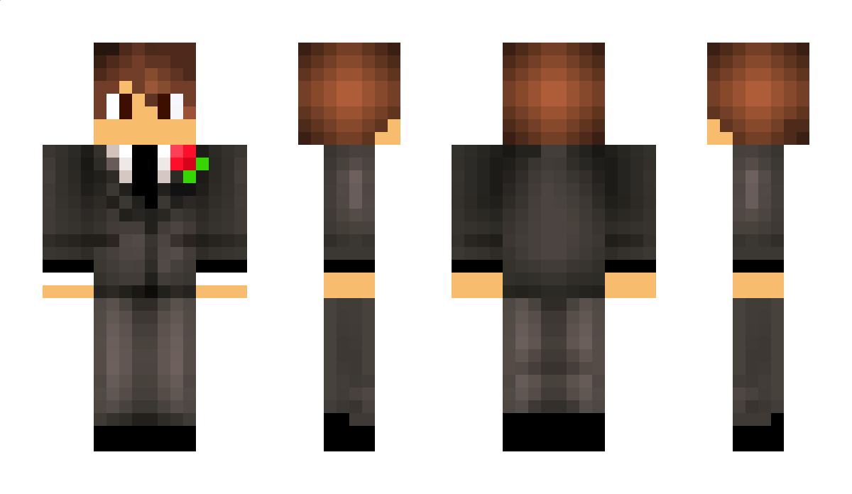 Delf Minecraft Skin