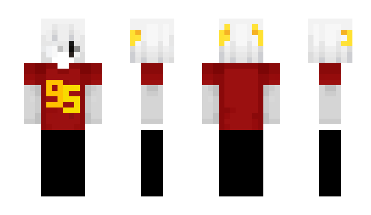 PRO209GAMER Minecraft Skin