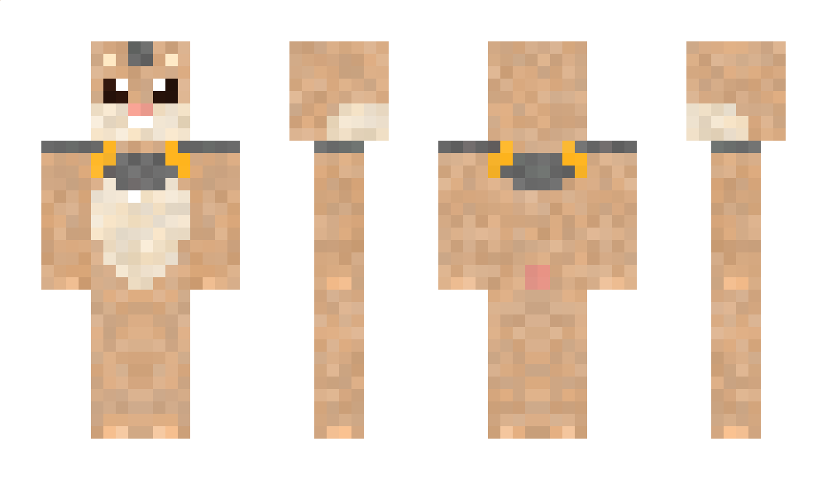 Hamptr Minecraft Skin