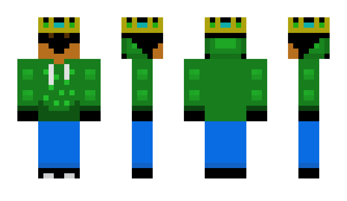 PenguinKing_111 Minecraft Skin